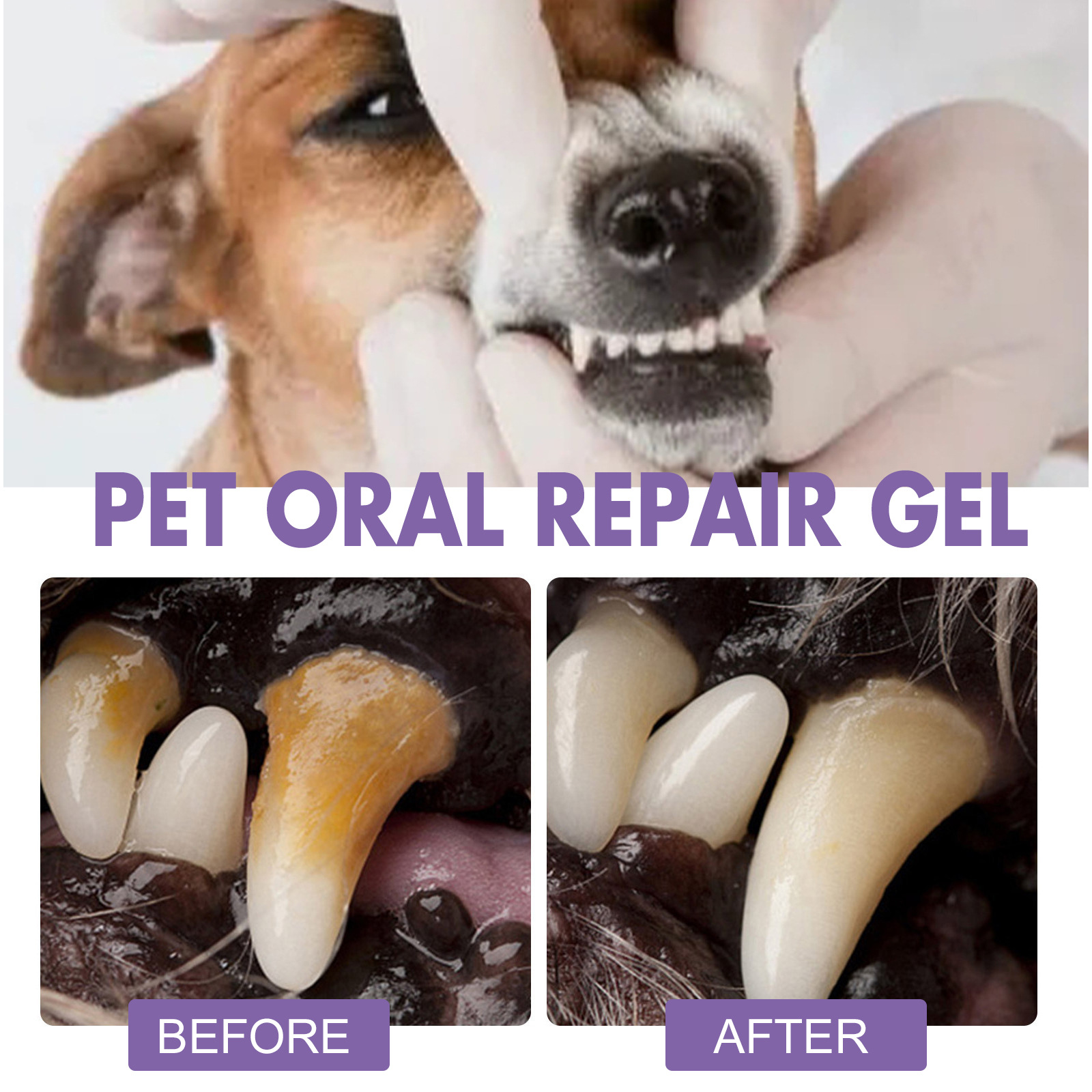 Pet Oral Repair Gel Puppy Tart - Teeth Whitening Vape recension och pris