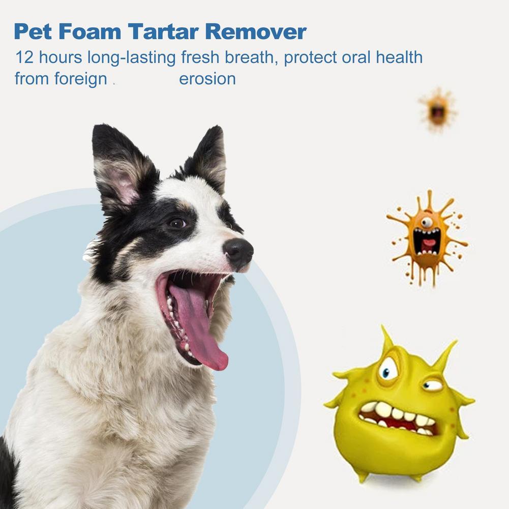60ml Pet Oral Care Foaming Cle - Teeth Whitening Foam recension och pris