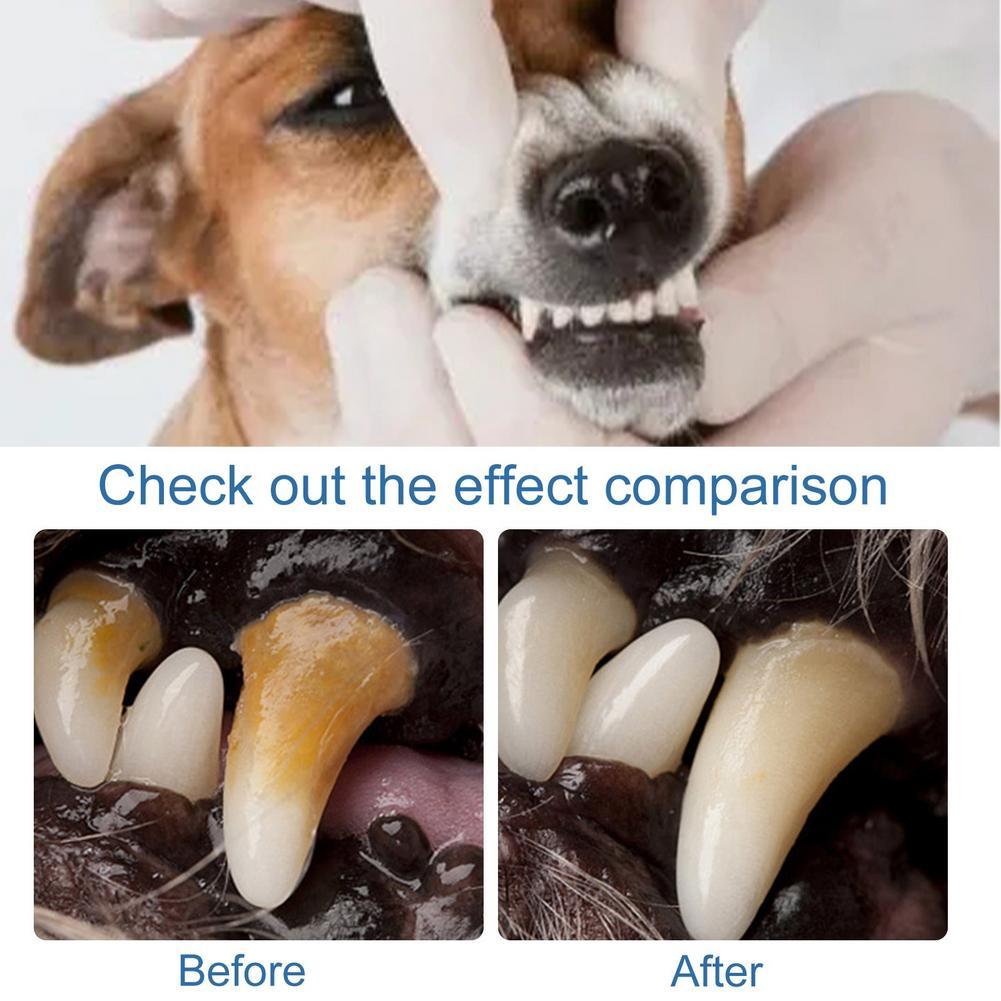 60ml Pet Oral Care Foaming Cle - Teeth Whitening Foam recension och pris